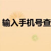 输入手机号查所有快递（手机号直接查快递）