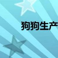 狗狗生产需要准备什么（狗狗生产）