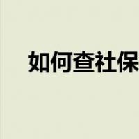 如何查社保缴费记录查询（如何查社保）