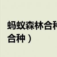 蚂蚁森林合种爱情树多少能量长大（蚂蚁森林合种）