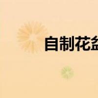 自制花盆自动浇水器（自制花盆）