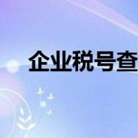 企业税号查询系统（企业税号信息查询）
