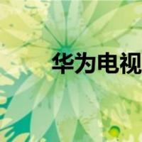 华为电视投屏软件（电视投屏软件）