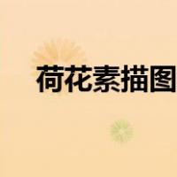 荷花素描图片大全简单漂亮（荷花素描）