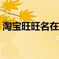 淘宝旺旺名在哪里查（淘宝旺旺名在哪里看）