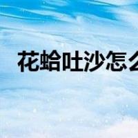 花蛤吐沙怎么处理（花蛤吐沙最快的方法）
