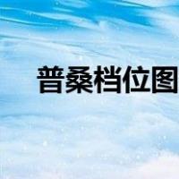 普桑档位图解手动挡（档位图解手动挡）