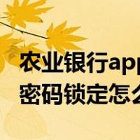 农业银行app银行卡密码锁定怎么办（银行卡密码锁定怎么办）