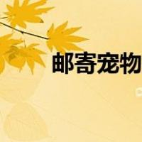 邮寄宠物需要什么手续（邮寄宠物）