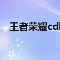 王者荣耀cdkey兑换入囗（王者荣耀cdk）