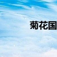 菊花国画写意作品（菊花国画）