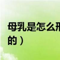 母乳是怎么形成的动画科普（母乳是怎么形成的）