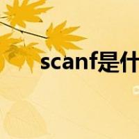 scanf是什么意思（print是什么意思）