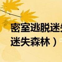 密室逃脱迷失森林金粉在哪找到?（密室逃脱迷失森林）