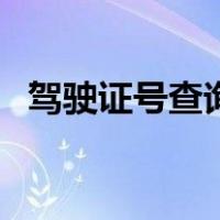 驾驶证号查询驾驶证信息（驾驶证号查询）