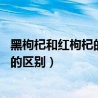 黑枸杞和红枸杞的区别的功效与作用 知乎（黑枸杞和红枸杞的区别）