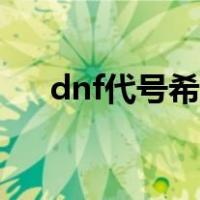 dnf代号希望怎么开图（dnf代号希望）