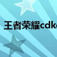 王者荣耀cdkey兑换入口（王者荣耀cdkey）