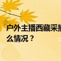 户外主播西藏采摘天山雪莲，账号被封禁，当地回应 这是什么情况？