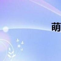 萌兔子图片（萌兔子）