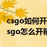 csgo如何开箱子不看出什么直接开下一个（csgo怎么开箱子）