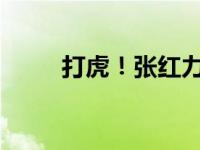 打虎！张红力被查 这是什么情况？