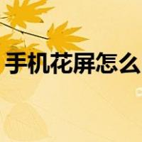 手机花屏怎么回事vivo（手机花屏怎么回事）