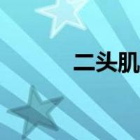 二头肌训练教程（二头肌训练）