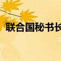 联合国秘书长：震惊，痛心 这是什么情况？