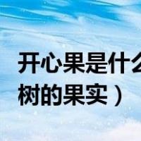 开心果是什么树的果实巴旦木（开心果是什么树的果实）