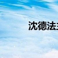 沈德法主动投案 这是什么情况？