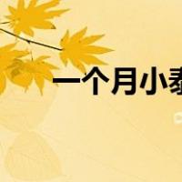 一个月小泰迪怎么养（小泰迪怎么养）
