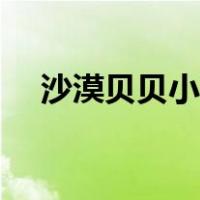 沙漠贝贝小南瓜怎么吃（小南瓜怎么吃）