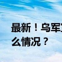 最新！乌军宣布摧毁一艘俄海军舰艇 这是什么情况？