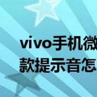 vivo手机微信收款提示音怎么设置（微信收款提示音怎么设置）