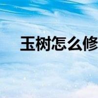 玉树怎么修剪造型好看（玉树怎么修剪）