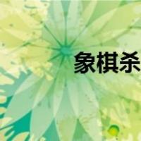 象棋杀法大全视频（象棋杀法）