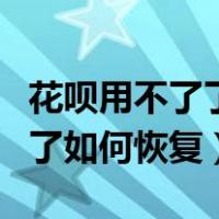 花呗用不了了如何恢复方法视频（花呗用不了了如何恢复）