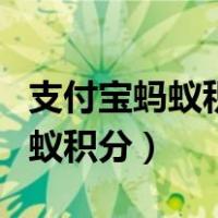支付宝蚂蚁积分要多少才能用借呗（支付宝蚂蚁积分）
