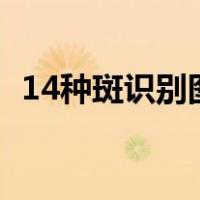 14种斑识别图片（晒斑是什么样子的图片）