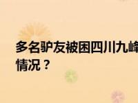 多名驴友被困四川九峰山：已找到8人，1人失联 这是什么情况？