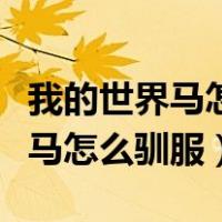 我的世界马怎么驯服怎么放鞍网易（我的世界马怎么驯服）