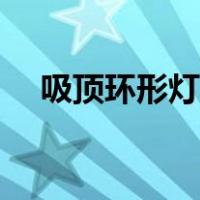 吸顶环形灯管怎么换（环形灯管怎么换）