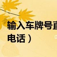 输入车牌号直接查车主（有车牌号怎么查车主电话）