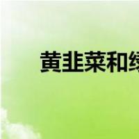 黄韭菜和绿韭菜哪个营养高（黄韭菜）