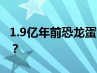 1.9亿年前恐龙蛋窝，被发现了 这是什么情况？