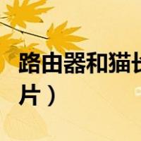 路由器和猫长什么样子图片（路由器和猫的图片）