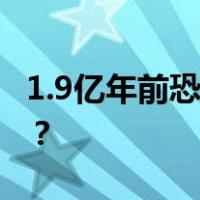 1.9亿年前恐龙蛋窝，被发现了 这是什么情况？