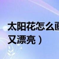 太阳花怎么画简笔画又漂亮（花怎么画简笔画又漂亮）