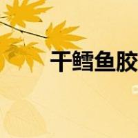 干鳕鱼胶怎么泡发（鱼胶怎么泡发）